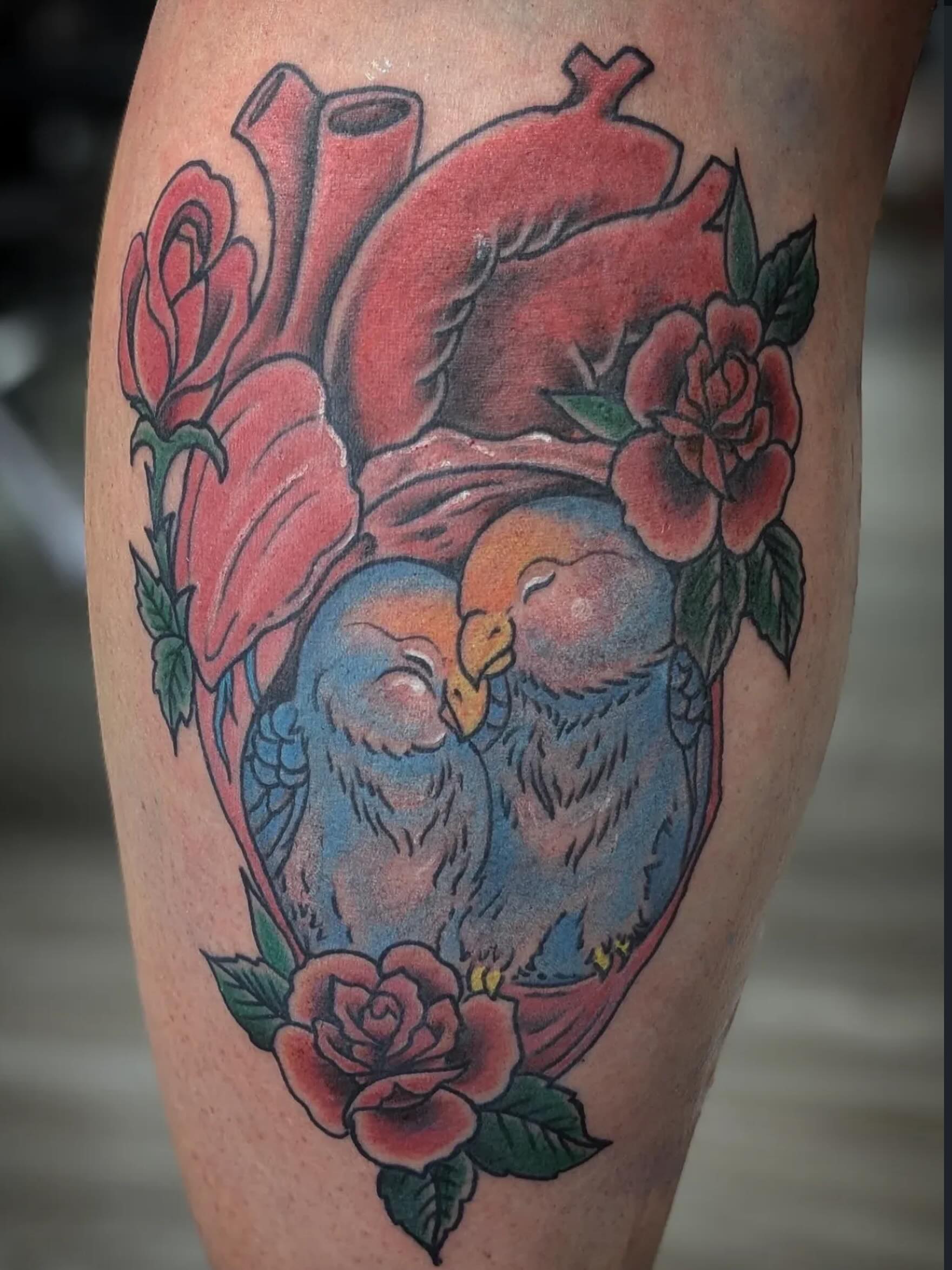 Color anatomical heart tattoo with birds and roses